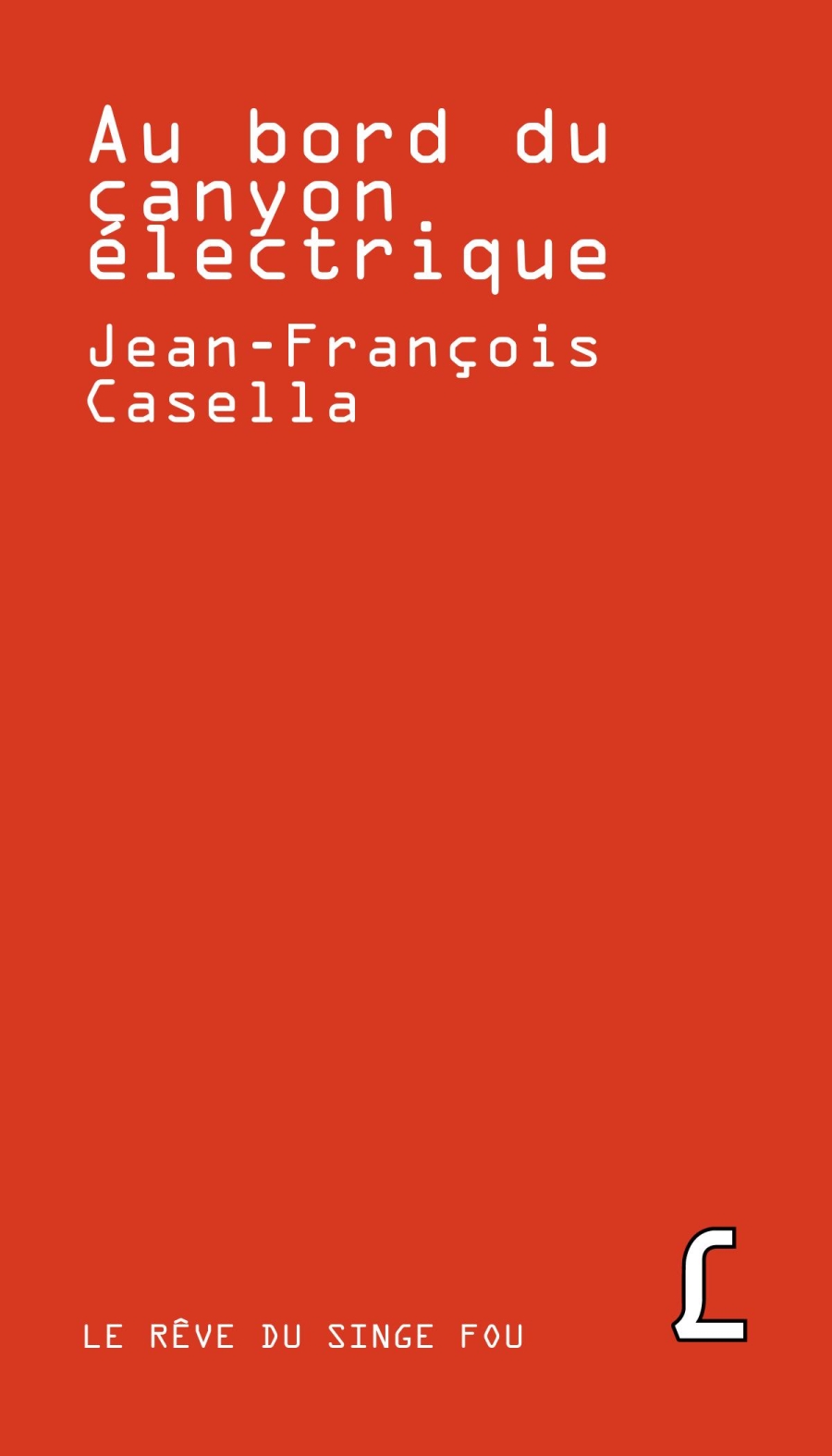 Recto cover of Au bord du canyon électrique